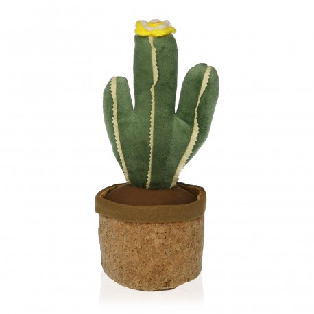 CALE-PORTE CACTUS