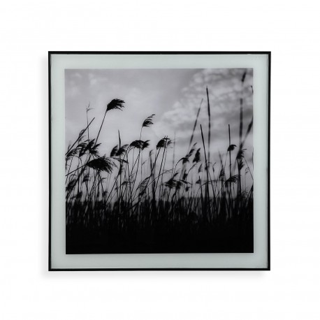 PHOTOGRAPHIE NOIR/BLANC50X50