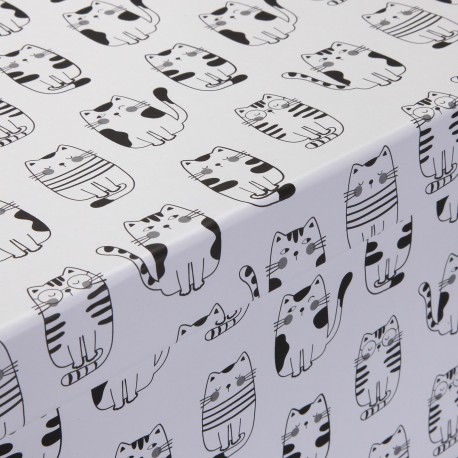 SET 15 BOÎTES CARTON GATTO