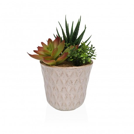 POT EN CÉRAMIQUE AVEC SUCCULENTE 2