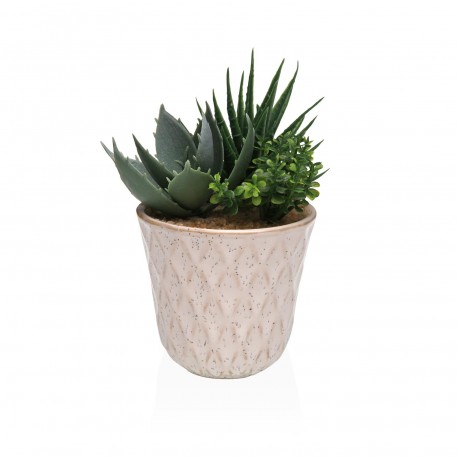 POT EN CÉRAMIQUE AVEC SUCCULENTE 3