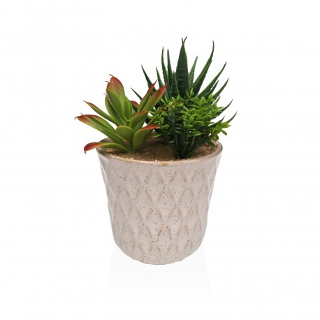 POT EN CÉRAMIQUE AVEC SUCCULENTE 4