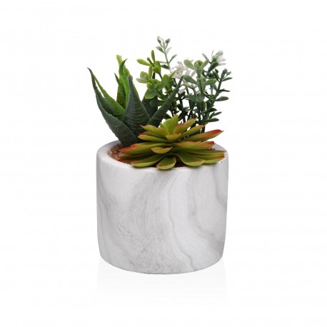 POT EFFET MARBRE AVEC SUCCULENTE 1