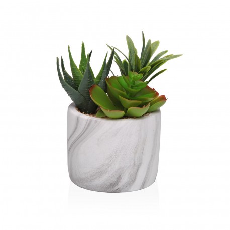 POT EFFET MARBRE AVEC SUCCULENTE 2