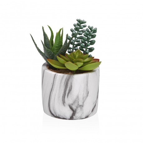 POT EFFET MARBRE AVEC SUCCULENTE 3