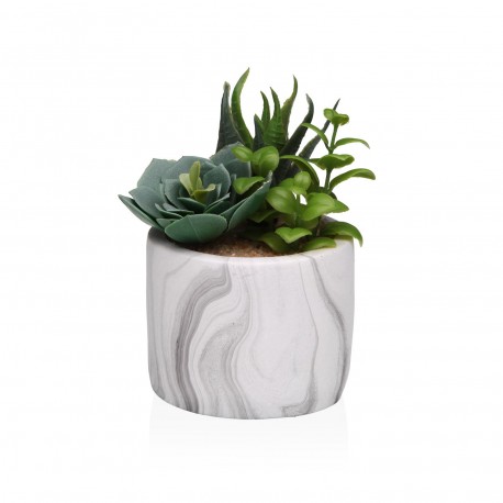 POT EFFET MARBRE AVEC SUCCULENTE 4