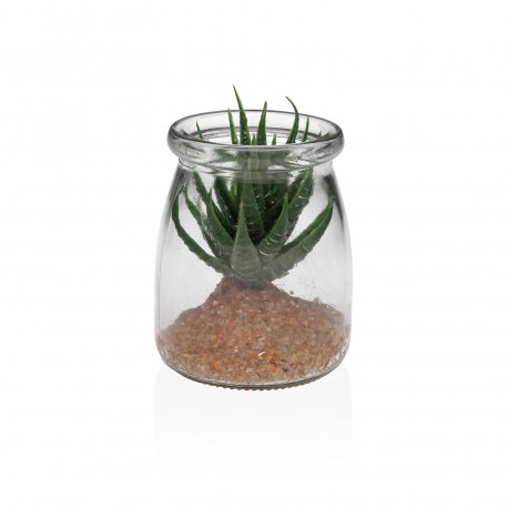 BOCAL EN VERRE AVEC SUCCULENTE 1