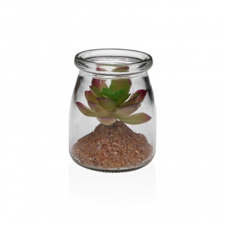 BOCAL EN VERRE AVEC SUCCULENTE 2