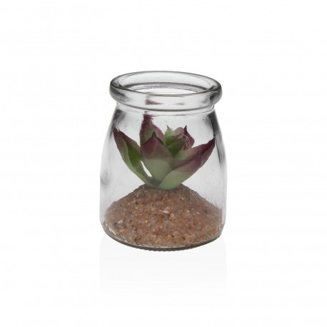 BOCAL EN VERRE AVEC SUCCULENTE 3