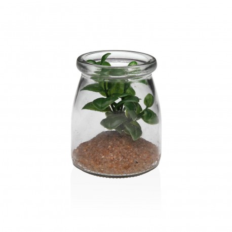 BOCAL EN VERRE AVEC SUCCULENTE 4
