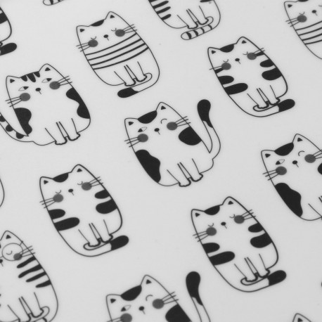 GRANDE PLATEAU GATTO