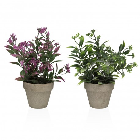 ASSORTIMENT DEUX PLANTES DÉCORATIVES 26 CM