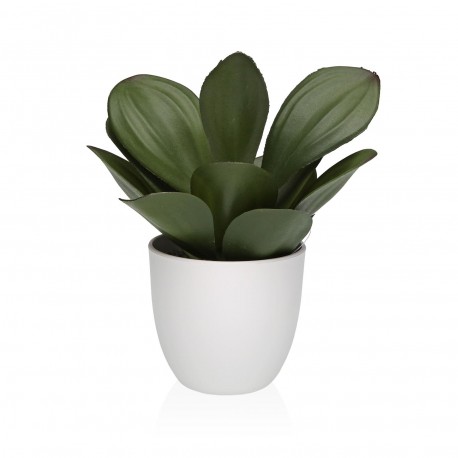 POT DÉCORATIF AVEC PLANTE 23 CM