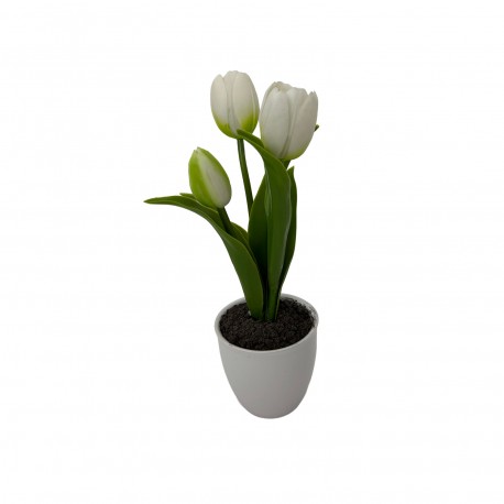 TULIPE ASSORTIMENT AVEC POT