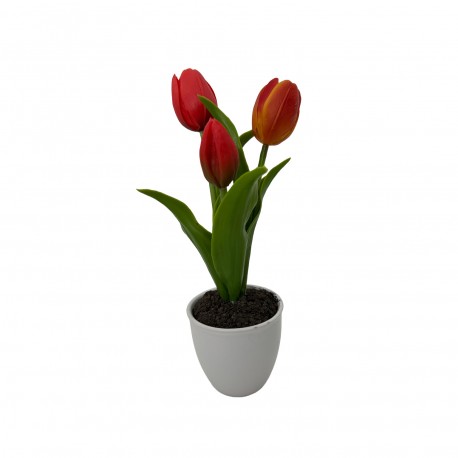TULIPE ASSORTIMENT AVEC POT