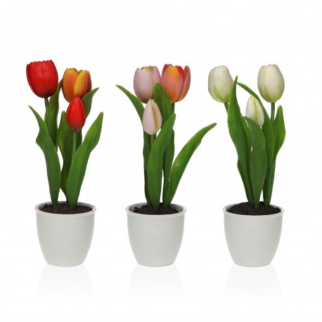 TULIPE ASSORTIMENT AVEC POT