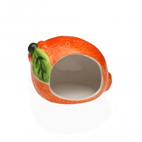 PORTE-ÉPONGE ORANGE