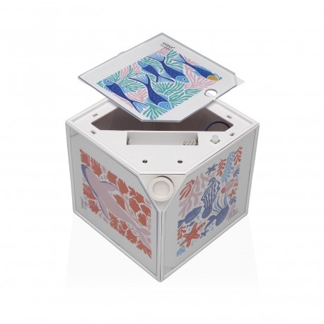 CUBE PHOTOS JUNO BLANC 10 X 10