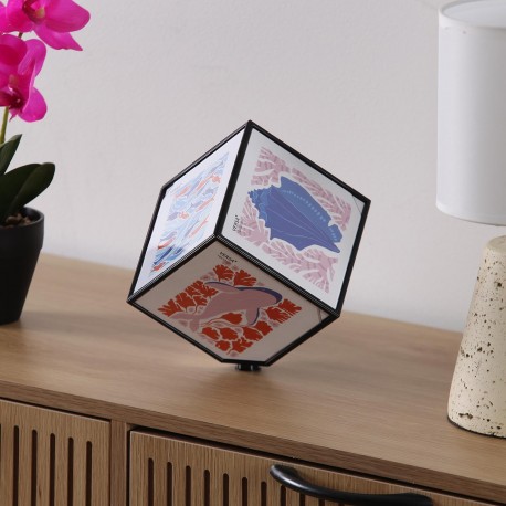 CUBE PHOTOS JUNO NOIR 10 X 10