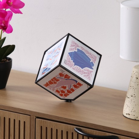 CUBE PHOTOS JUNO NOIR 10 X 10