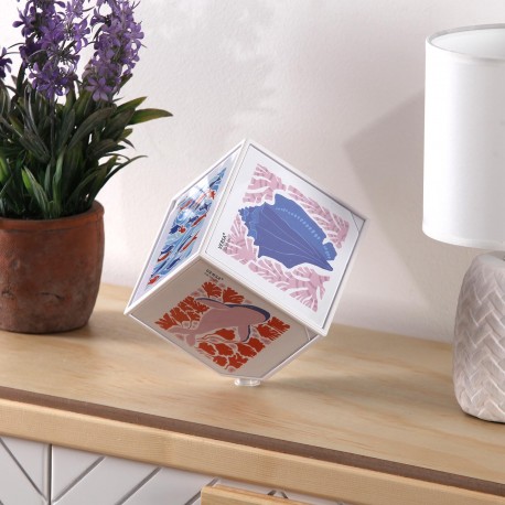 CUBE PHOTOS JUNO BLANC 10 X 10