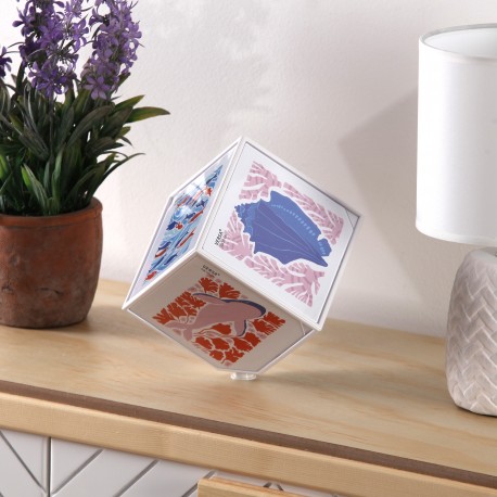 CUBE PHOTOS JUNO BLANC 10 X 10