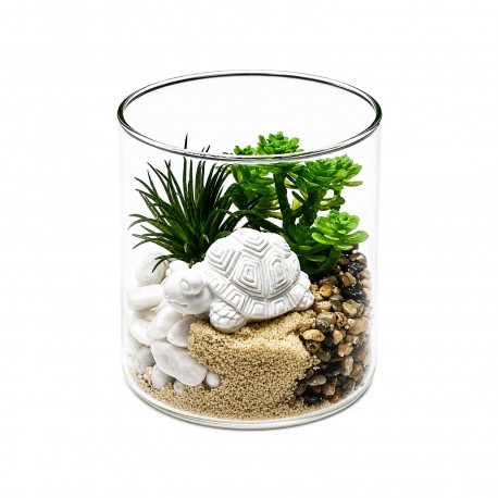 POT EN VERRE AVEC PLANTE ET TORTUE