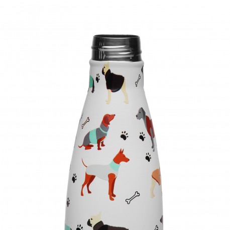 BOUTEILLE INOX AMICO